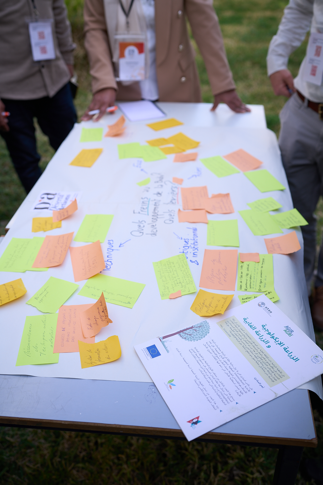 The Sahara and Sahel Observatory at the Désertif’actions Summit: highlights and key moments