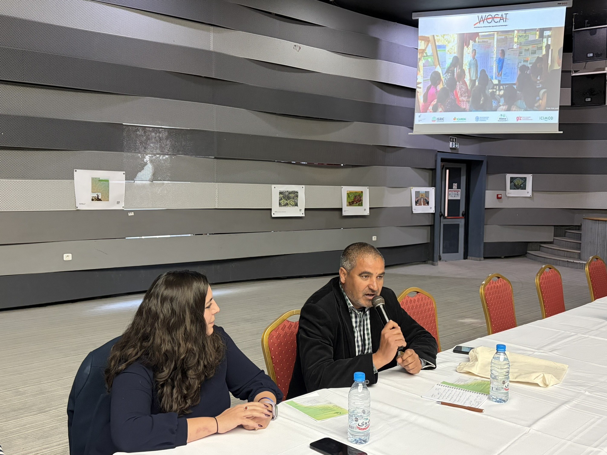 Strengthening Land Degradation Neutrality Reporting as a Strategic Lever for Sustainable Land Management