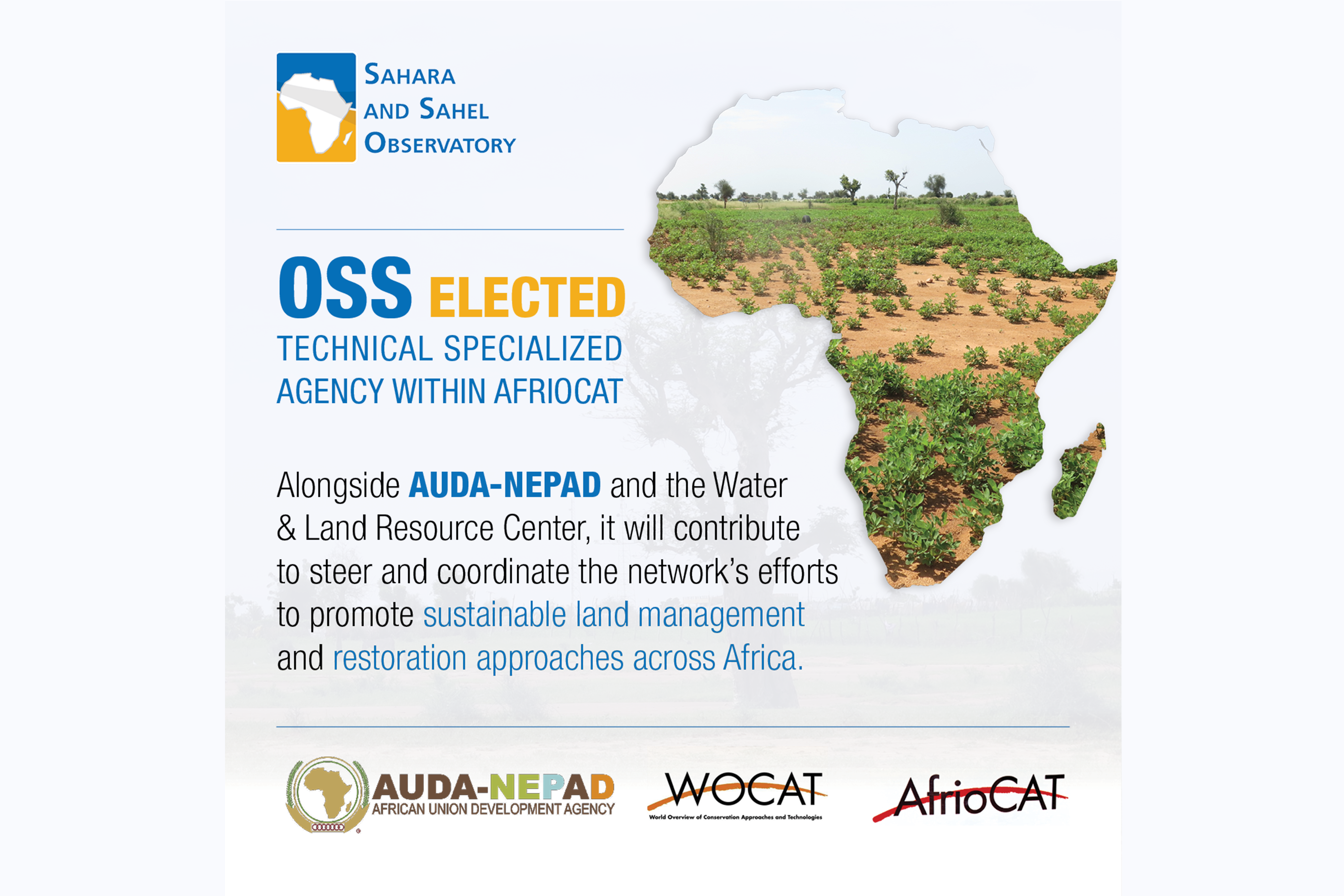 OSS Elected to the AfrioCAT Regional Coordination Team
