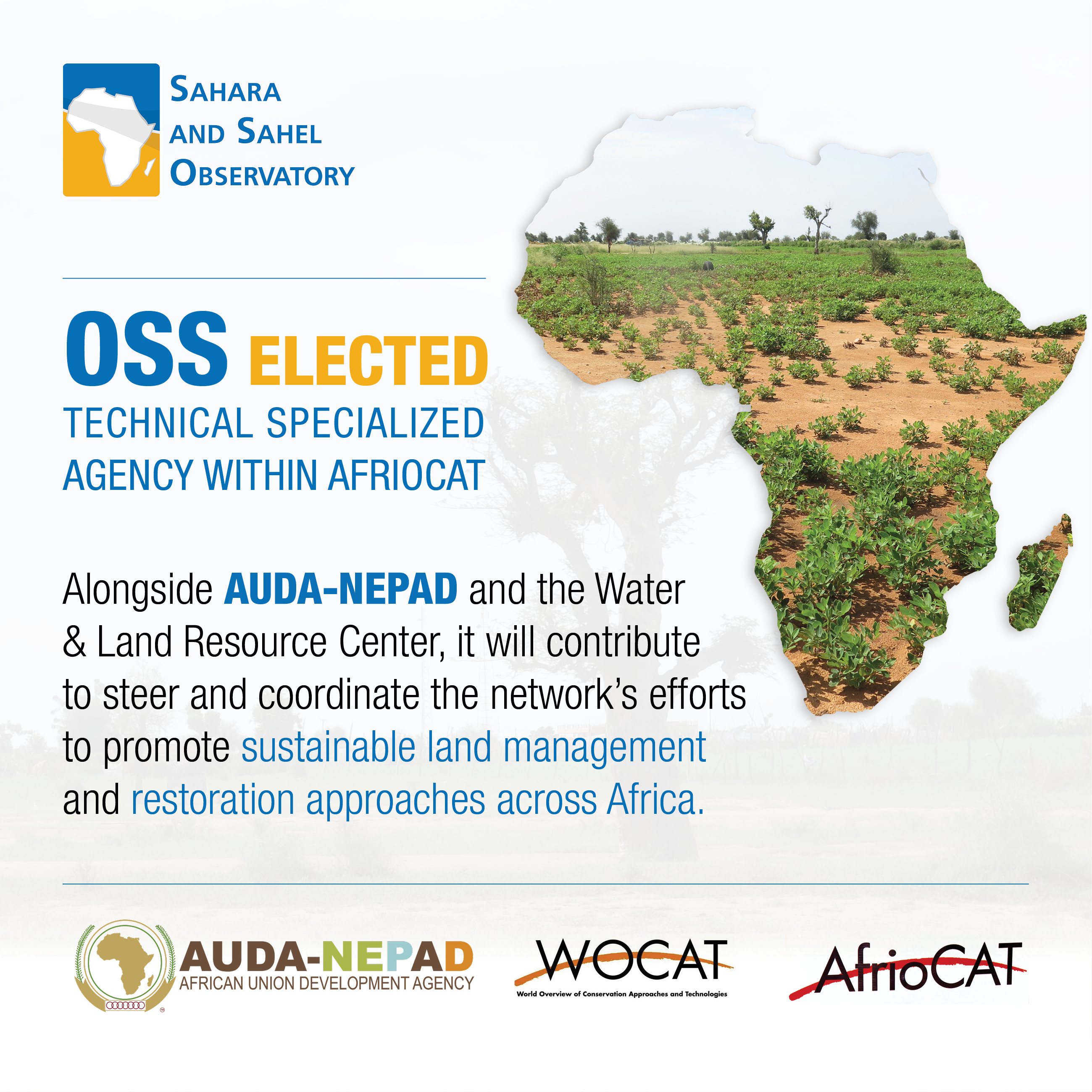OSS Elected to the AfriOCAT Regional Coordination Team