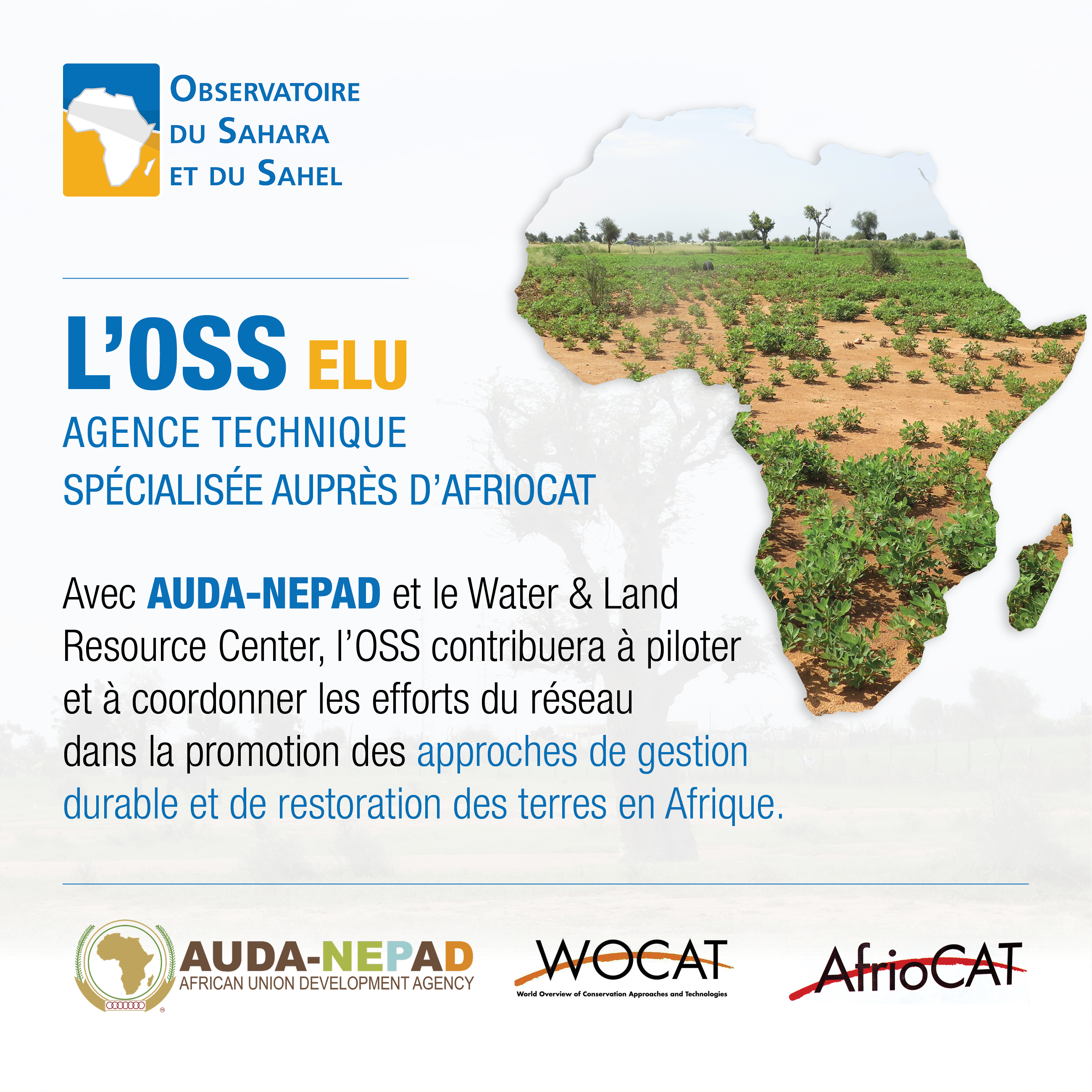 L’OSS élu au sein de l’Équipe régionale de coordination d’AfriOCAT