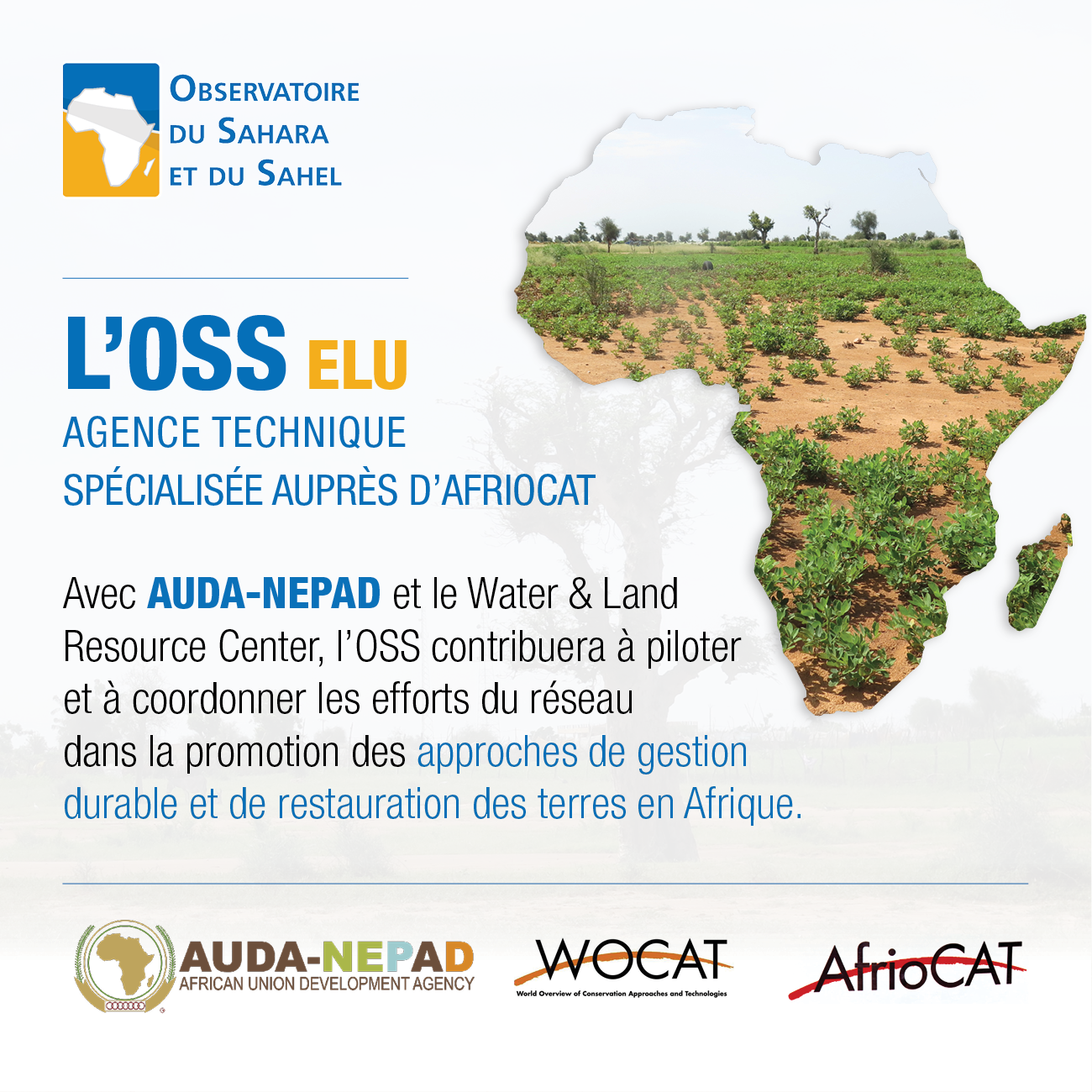  L’OSS élu au sein de l’Équipe régionale de coordination d’AfrioCAT