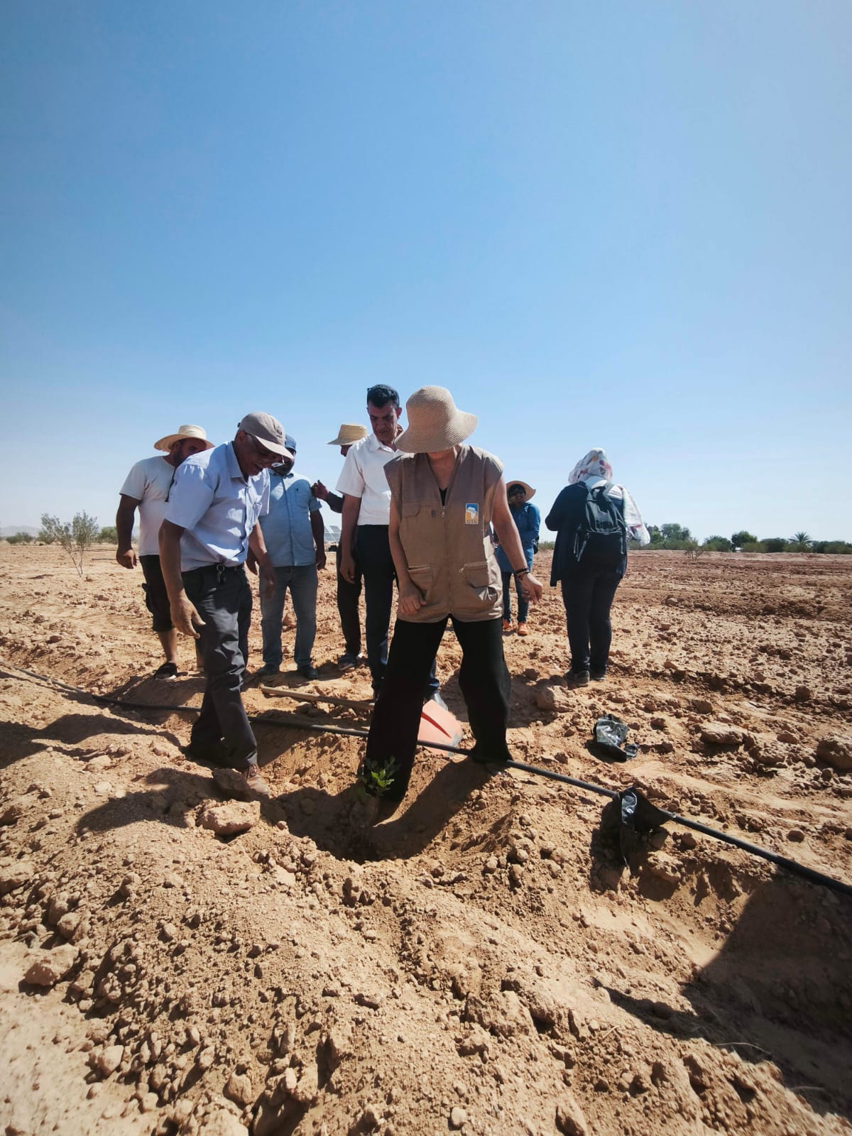23 June 2026 – Menzel Habib, Gabès Governorate, Tunisia.