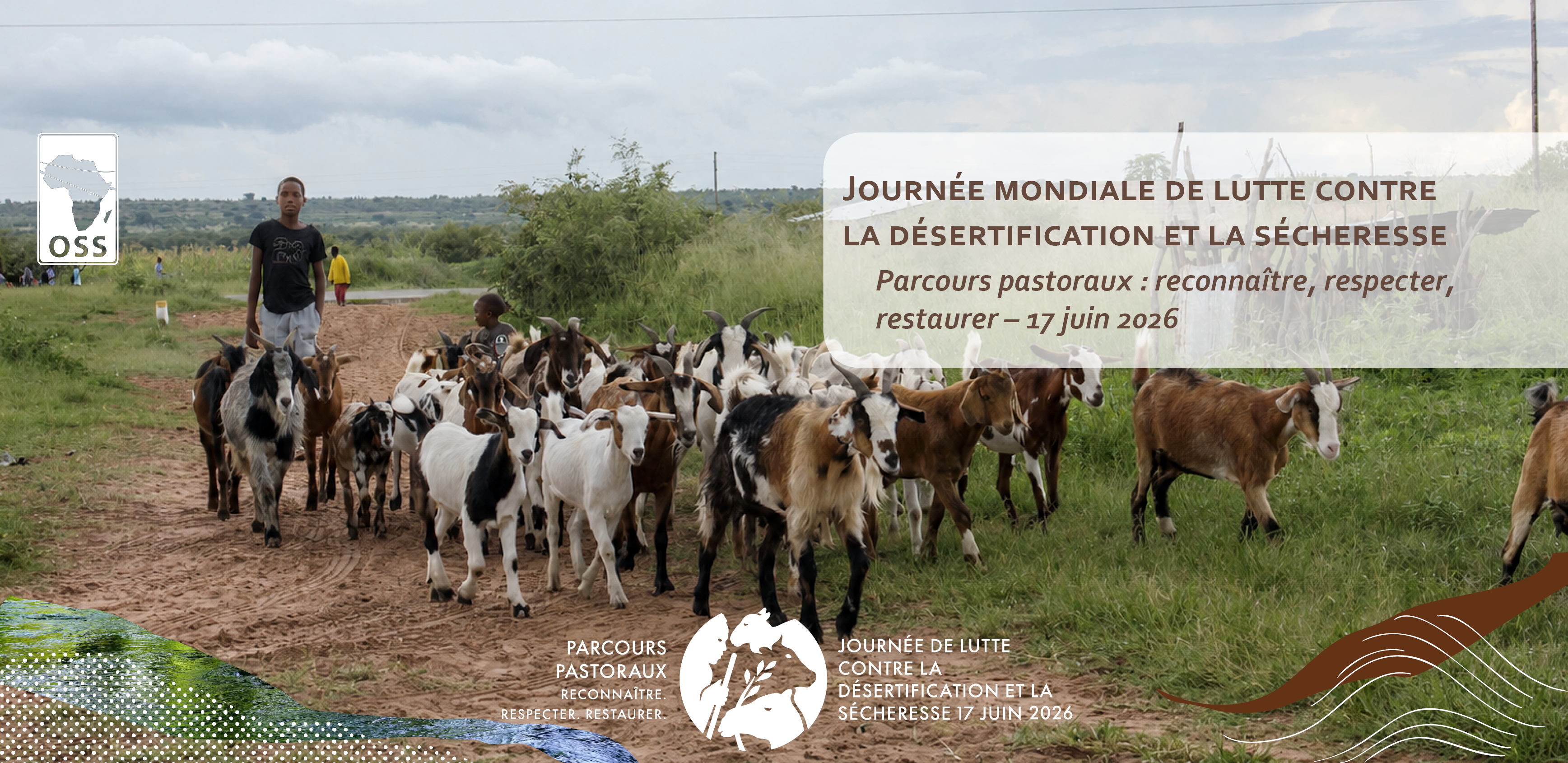 https://www.oss-online.org/fr/jmlcds-26