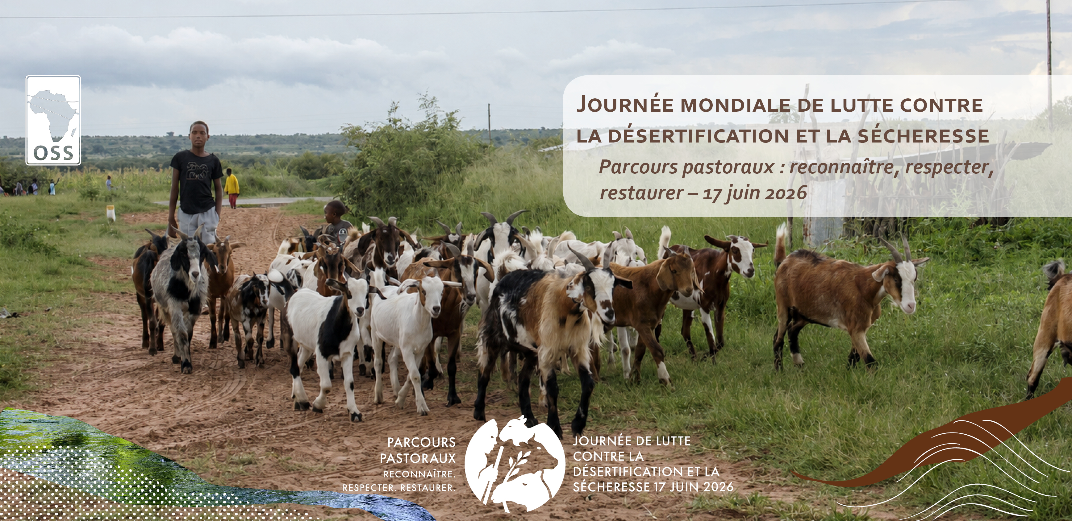 https://www.oss-online.org/fr/jmlcds-26