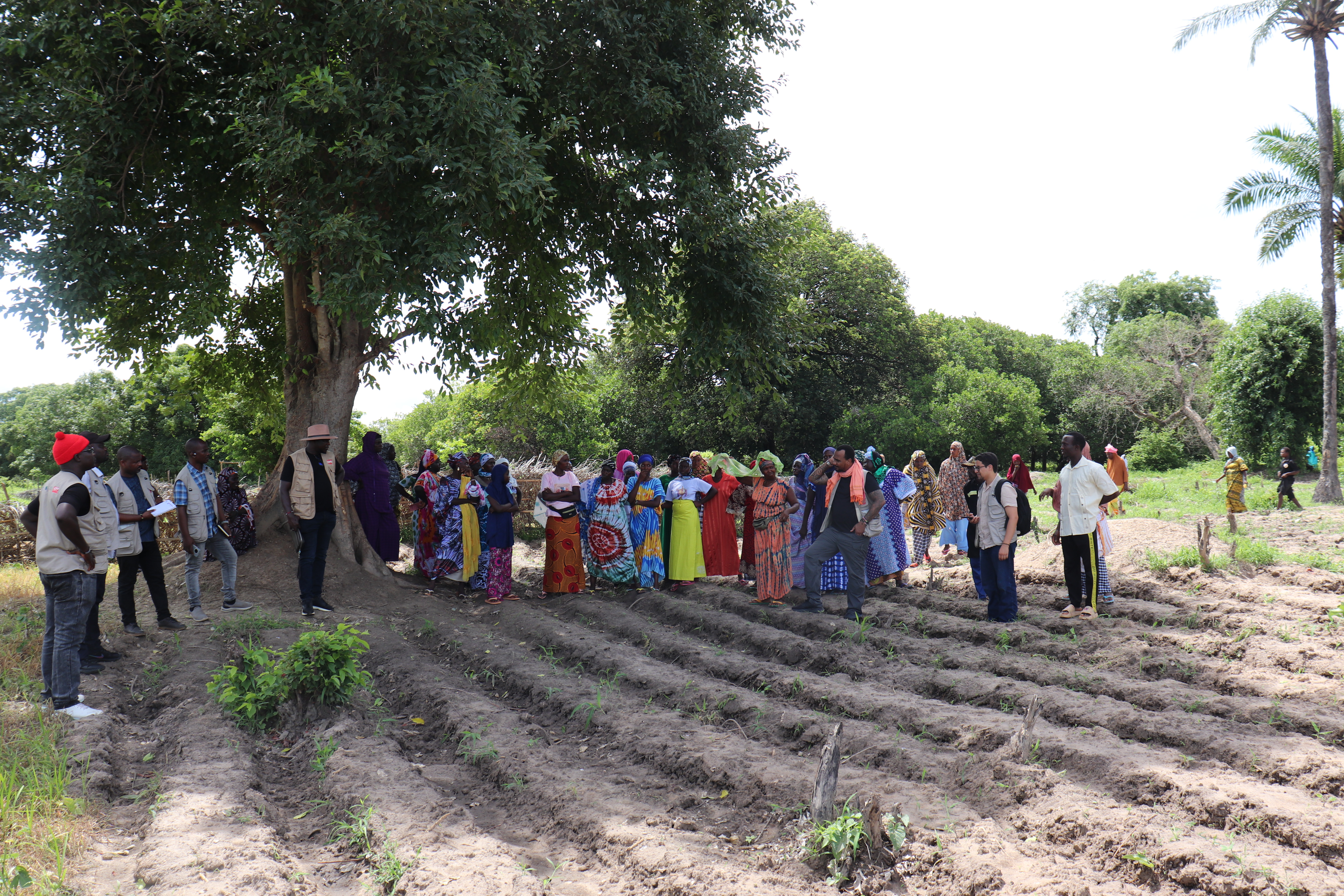 From Commitment to Impact: Strengthening Climate Resilience in Guinea-Bissau 