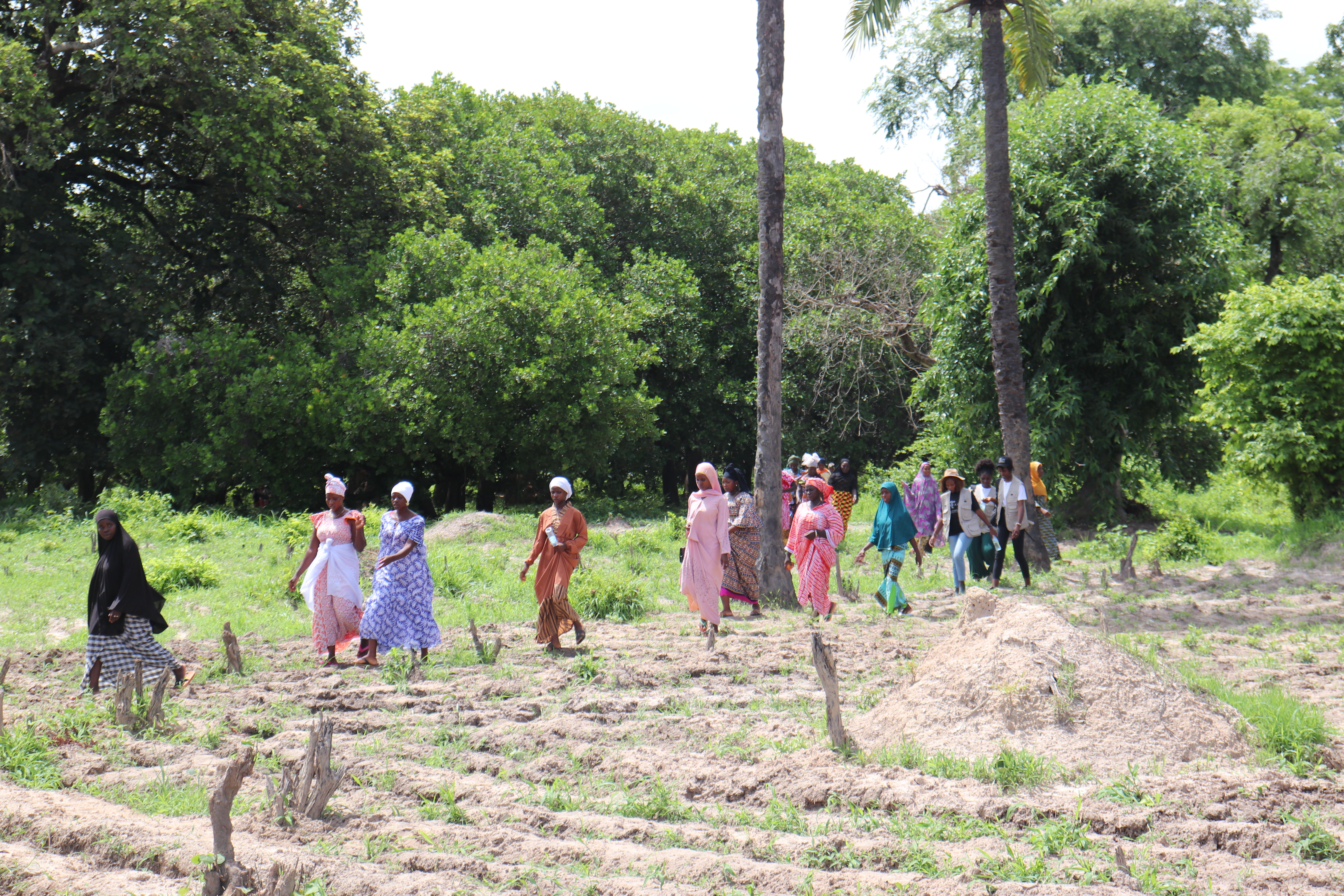 From Commitment to Impact: Strengthening Climate Resilience in Guinea-Bissau 