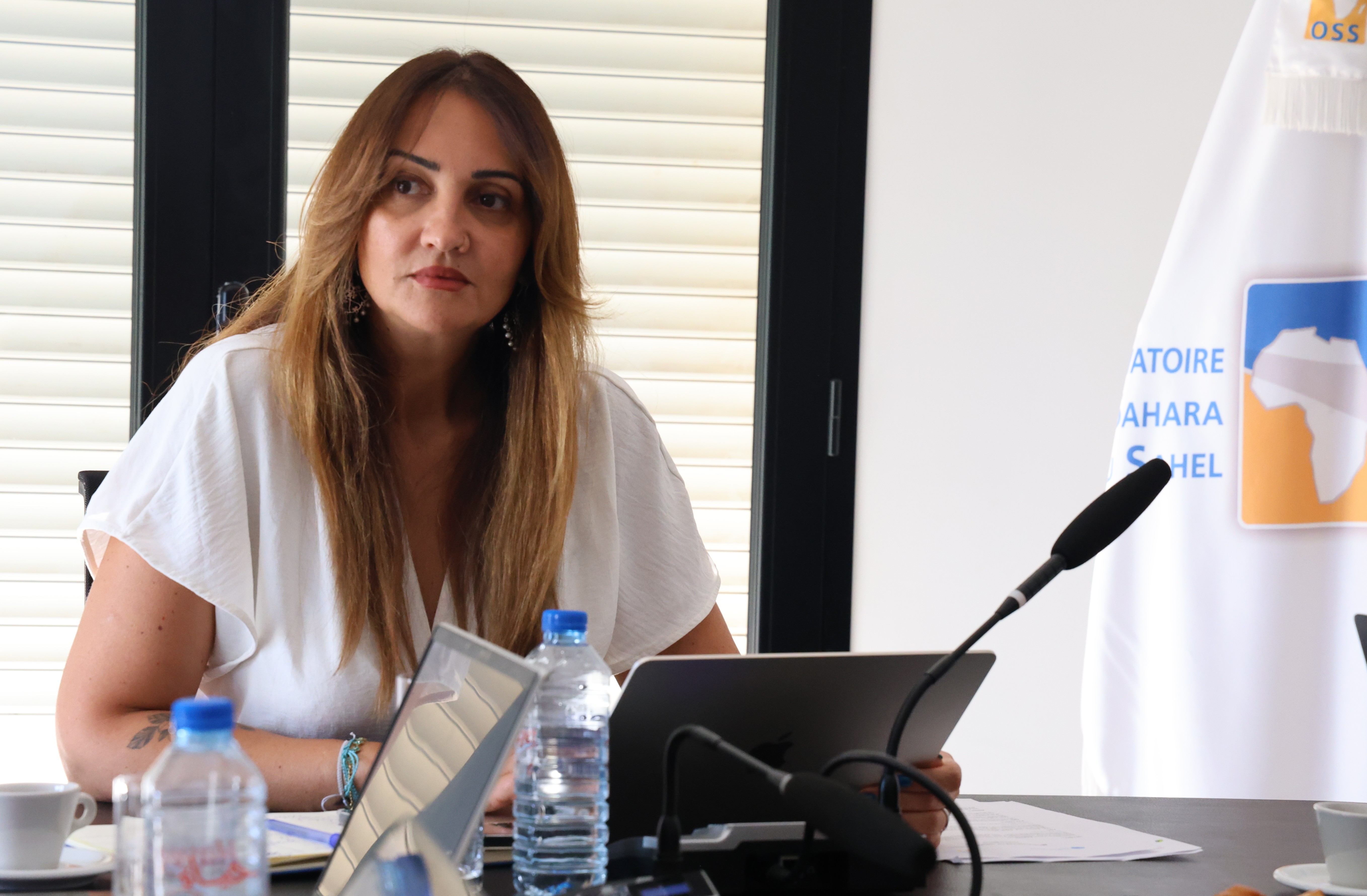 OSS Hosts High-Level Mauritanian Delegation to Prepare for the Launch of PRAGOA and Strengthen Climate Cooperation